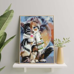 Алмазная Мозаика на Раме Котенок в шарфе 5D Diamond Painting Oh Art! 40x50 cm цена и информация | Алмазная мозаика | pigu.lt