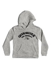 Džemperis berniukams Quiksilver Keller EQBFT03809 SJSH, pilkas цена и информация | Свитеры, жилетки, пиджаки для мальчиков | pigu.lt