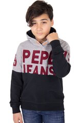 Džemperis berniukams Pepe Jeans Shaun Junior PB580943, pilkas цена и информация | Свитеры, жилетки, пиджаки для девочек | pigu.lt
