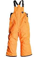 Slidinėjimo kelnės vaikams Boogie Quiksilver EQKTP03006 NKR0, oranžinės цена и информация | Зимняя одежда для детей | pigu.lt