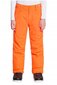 Slidinėjimo kelnės berniukams Quiksilver, oranžinės kaina ir informacija | Žiemos drabužiai vaikams | pigu.lt