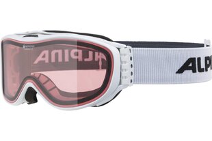 Slidinėjimo akiniai Alpina, pilki цена и информация | Лыжные очки | pigu.lt