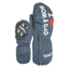 Детские перчатки CARS 12*16 180178 01 180178*01-ONE, тёмно-синие цена и информация | Зимняя одежда для детей | pigu.lt