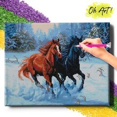 Алмазная Мозаика на Раме Лошади зимой 5D Diamond Painting Oh Art! 40x50 cm цена и информация | Алмазная мозаика | pigu.lt