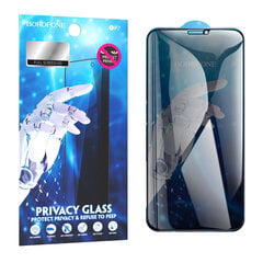 Закаленное стекло Borofone BF7 Diamond Armor полноэкранный анти шпион для iPhone XR/11, 10 шт. цена и информация | Защитные пленки для телефонов | pigu.lt