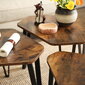 3-ių staliukų rinkinys, rudas kaina ir informacija | Kavos staliukai | pigu.lt