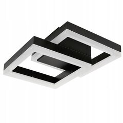 Светодиодный потолочный светильник, черно-белый цена и информация | Потолочные светильники | pigu.lt