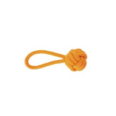 Žaislas šunims Dingo Energy kamuoliukas su rankena, oranžinis, 6x22 cm цена и информация | Игрушки для собак | pigu.lt
