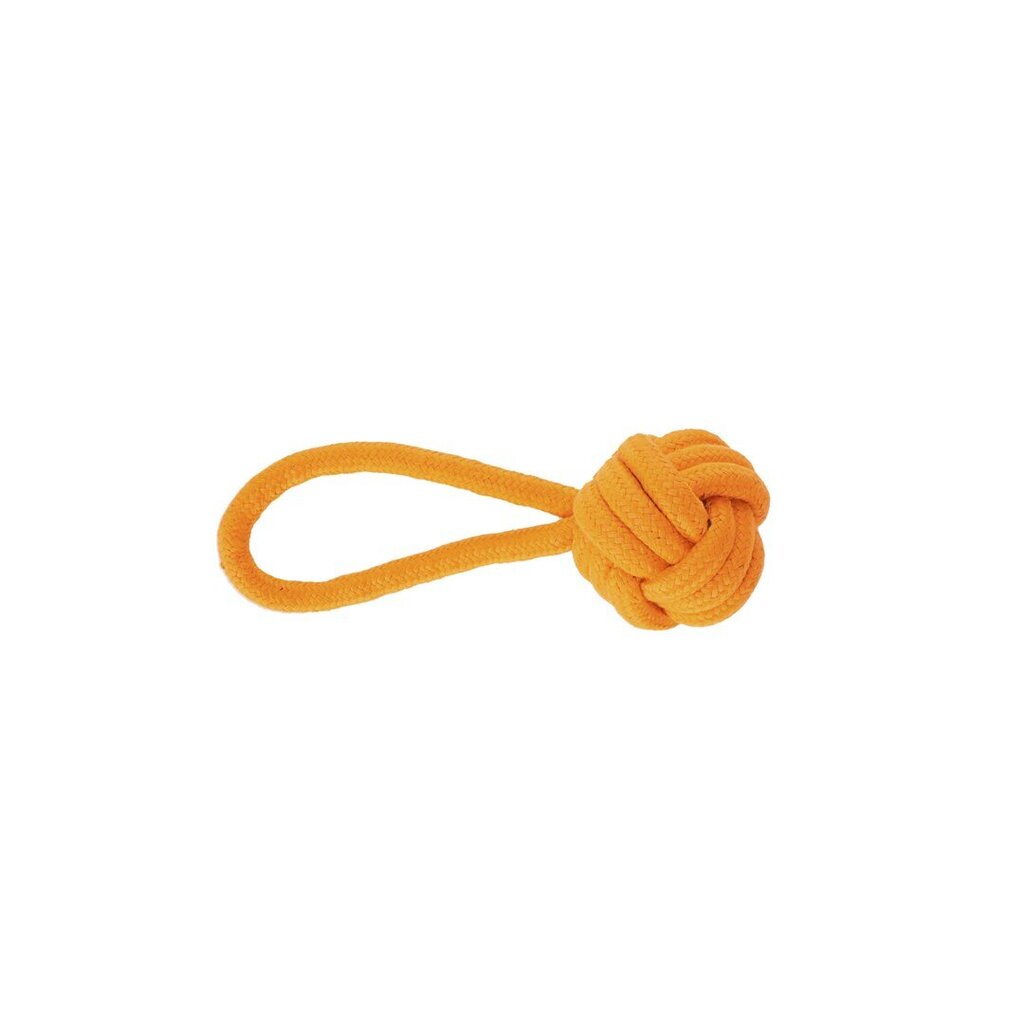 Žaislas šunims Dingo Energy kamuoliukas su rankena, oranžinis, 6x22 cm цена и информация | Žaislai šunims | pigu.lt