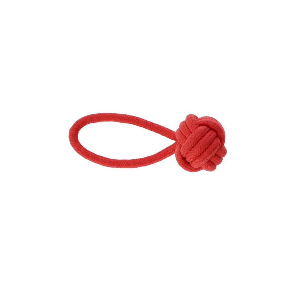 Žaislas šunims Dingo Energy kamuoliukas su rankena, raudonas, 6x22 cm kaina ir informacija | Žaislai šunims | pigu.lt