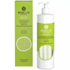 Valomasis gelis Basiclab Dermatis, 300 ml kaina ir informacija | Veido prausikliai, valikliai | pigu.lt