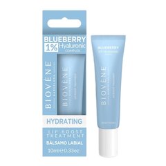 Губный сыворотка Biovene Blueberry 1% Hyaluronic Hydrating Lip Boost, 10 мл цена и информация | Помады, бальзамы, блеск для губ | pigu.lt