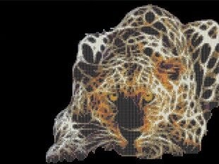 Deimantinės mozaikos rinkinys Centrum Leopard, 400x500mm kaina ir informacija | Deimantinės mozaikos | pigu.lt