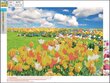 Deimantinės mozaikos rinkinys Centrum Tulips, 30x40 cm kaina ir informacija | Deimantinės mozaikos | pigu.lt