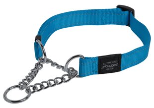 Полу-Строгий ошейник Rogz Utility L 20mm Fanbelt Obedience, бирюзовый отражатель цена и информация | Ошейники, подтяжки для собак | pigu.lt