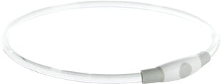 Мигающий ошейник Flash Light ring USB, SM: 40 см/д 8 мм, разноцветный цена и информация | Ошейники, подтяжки для собак | pigu.lt