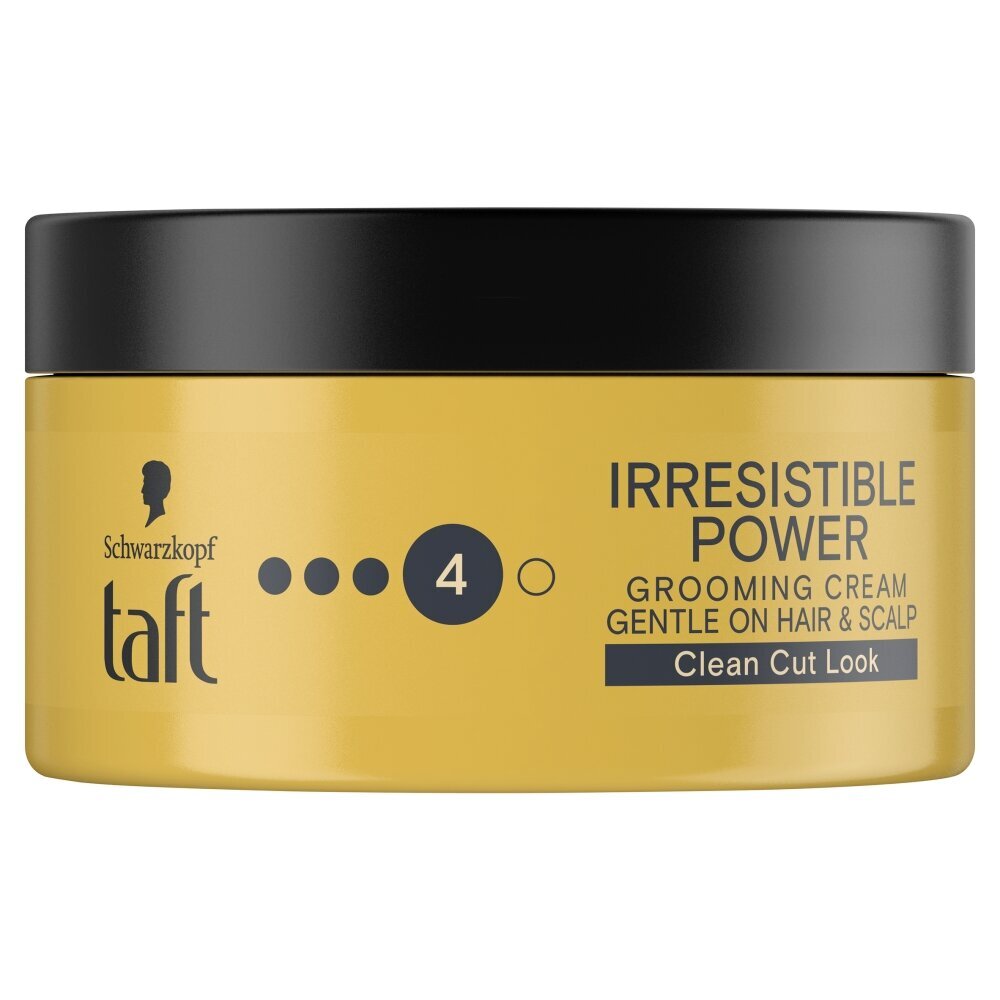 Plaukų kremas Taft Irresistible Power, 100 ml цена и информация | Plaukų formavimo priemonės | pigu.lt