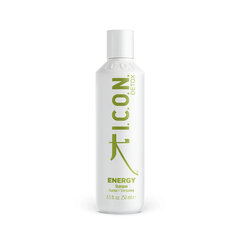 Šampūnas I.C.O.N. Detox Energy Shampoo, 250 ml kaina ir informacija | ICON Kvepalai, kosmetika | pigu.lt