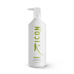Detoksikuojantis plaukų šampūnas I.C.O.N. Detox Energy Shampoo, 1000 ml kaina ir informacija | Šampūnai | pigu.lt