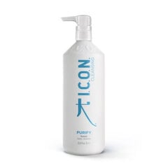 Giliai valantis šampūnas I.C.O.N. Purify Shampoo, 1000 ml kaina ir informacija | Šampūnai | pigu.lt