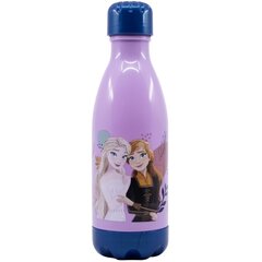 Gertuvė Frozen, 560ml цена и информация | Фляга | pigu.lt