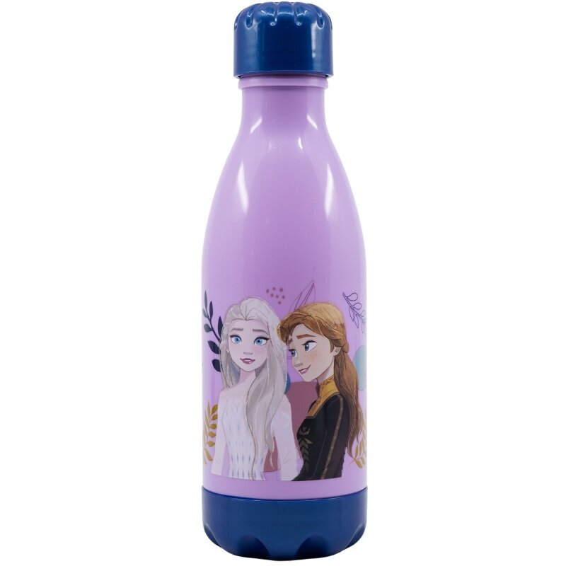 Gertuvė Frozen, 560ml kaina ir informacija | Gertuvės | pigu.lt