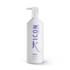 Drėkinanti plaukų kaukė I.C.O.N. Hydration Inner Home Treatment, 1000 ml kaina ir informacija | ICON Kvepalai, kosmetika | pigu.lt