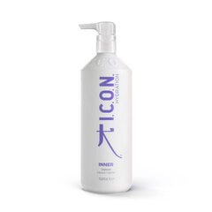 Drėkinanti plaukų kaukė I.C.O.N. Hydration Inner Home Treatment, 1000 ml kaina ir informacija | Priemonės plaukų stiprinimui | pigu.lt