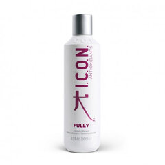 Plaukų šampūnas I.C.O.N. Antioxidants Fully Shampoo, 250 ml kaina ir informacija | Šampūnai | pigu.lt