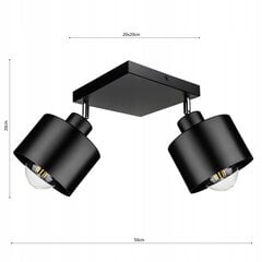 Потолочный светильник Led-lux, черный цена и информация | Потолочные светильники | pigu.lt