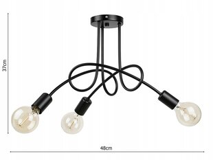 Потолочный светильник, E27, LED цена и информация | Потолочные светильники | pigu.lt