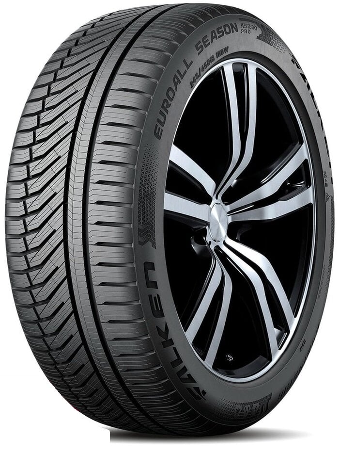 Falken Euroall Season AS220 PRO 255/55R18 109 W XL kaina ir informacija | Universalios padangos | pigu.lt