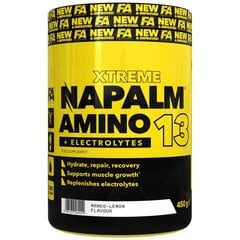 Aminorūgštys Fa Napalm Amino13, 450 g цена и информация | Аминокислоты | pigu.lt