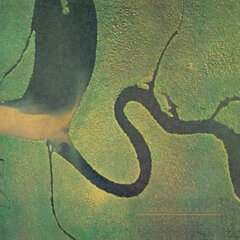 Vinilinė plokštelė LP Dead Can Dance - The Serpent's Egg kaina ir informacija | Vinilinės plokštelės, CD, DVD | pigu.lt
