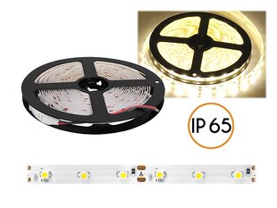 PS LED laidas 5050 ECO atsparus vandeniui, šiltai balta šviesa, 300 LED, 5 m, IP65, baltas pagrindas. kaina ir informacija | LED juostos | pigu.lt