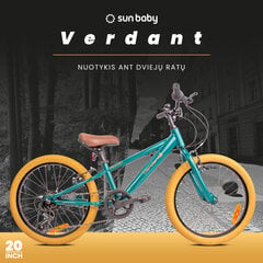 Велосипед 20 дюймов для мальчика MTB Shimano 6 передач Verdant Rowan цена и информация | Велосипеды | pigu.lt