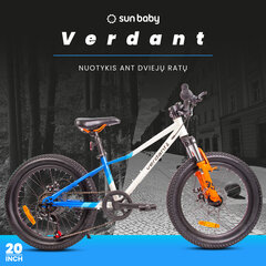 Vaikiškas dviratis MTB Shimano 20", baltas kaina ir informacija | Balansiniai dviratukai | pigu.lt