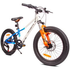 Vaikiškas dviratis MTB Shimano 20", baltas kaina ir informacija | Dviračiai | pigu.lt