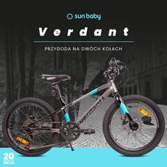 Велосипед 20 дюймов для мальчика легкий MTB Shimano 6 передач Verdant Alder цена и информация | Велосипеды | pigu.lt