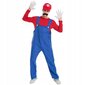 Kostiumas Super Mario Bros цена и информация | Karnavaliniai kostiumai | pigu.lt