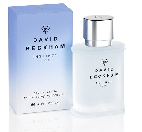 Tualetinis vanduo David Beckham Instinct Ice EDT vyrams 50 ml цена и информация | Kvepalai vyrams | pigu.lt