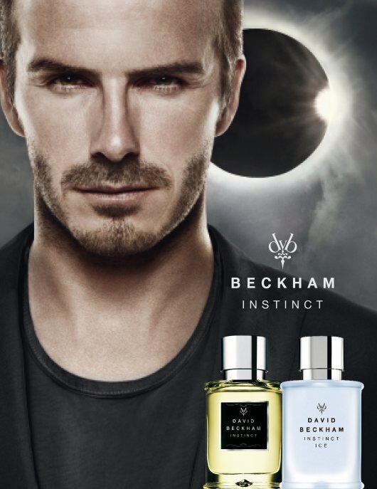 Tualetinis vanduo David Beckham Instinct Ice EDT vyrams 50 ml цена и информация | Kvepalai vyrams | pigu.lt