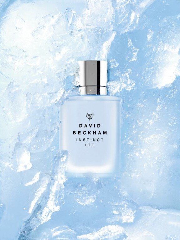 Tualetinis vanduo David Beckham Instinct Ice EDT vyrams 50 ml kaina ir informacija | Kvepalai vyrams | pigu.lt