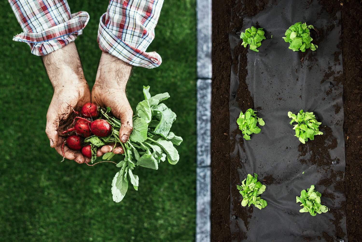 Agrotekstilė, juoda цена и информация | Sodo įrankiai | pigu.lt