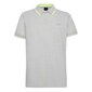 Geox polo marškinėliai vyrams 8050036607249, pilki kaina ir informacija | Vyriški marškinėliai | pigu.lt