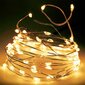 LED girlianda\ kaina ir informacija | Kalėdinės dekoracijos | pigu.lt