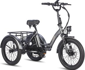 Электровелосипед Fafrees F20 Mate, 20", черный, 500Вт, 18,2Ач цена и информация | Электровелосипеды | pigu.lt
