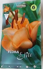 Lelijos Apricot Fudge цена и информация | Луковицы цветов | pigu.lt