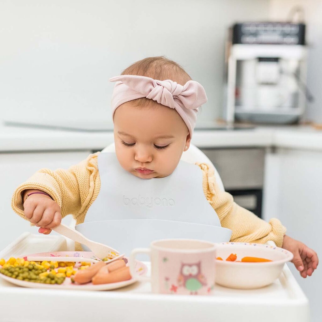 Lėkščių, šaukštų ir seilinukų rinkinys kūdikiams Babyono Set3 kaina ir informacija | Kūdikių indai, indeliai pienui ir įrankiai | pigu.lt