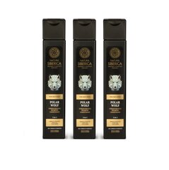 Šampūnas NS Men Shampoo-Conditionier Strength Polar Wolf, 3 x 250 ml цена и информация | Шампуни | pigu.lt